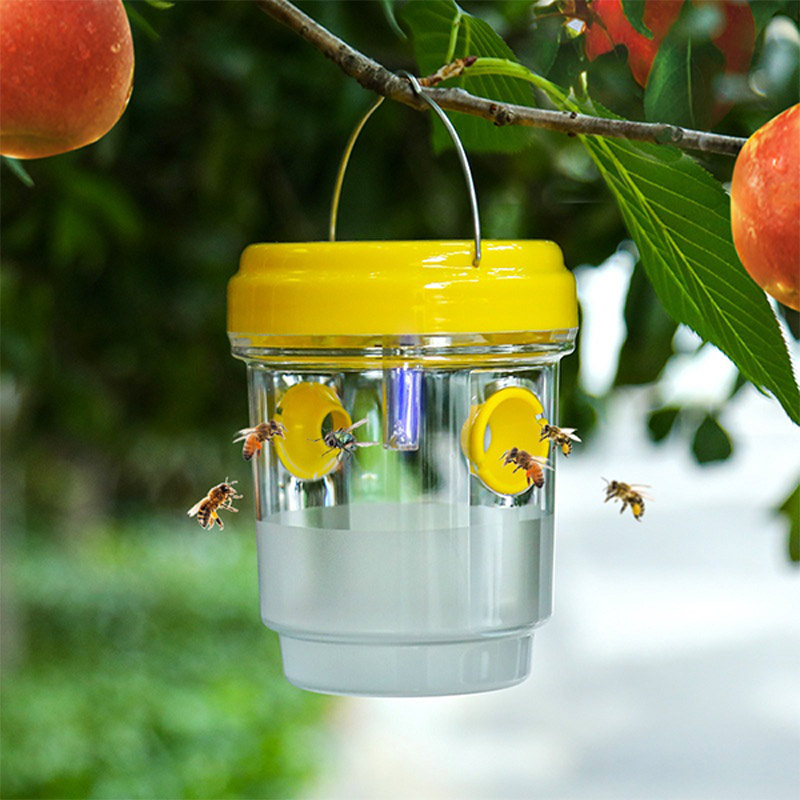 Solar Powered Fruit Fly Traps  - огляд і ціна Outdoor Lighting Company